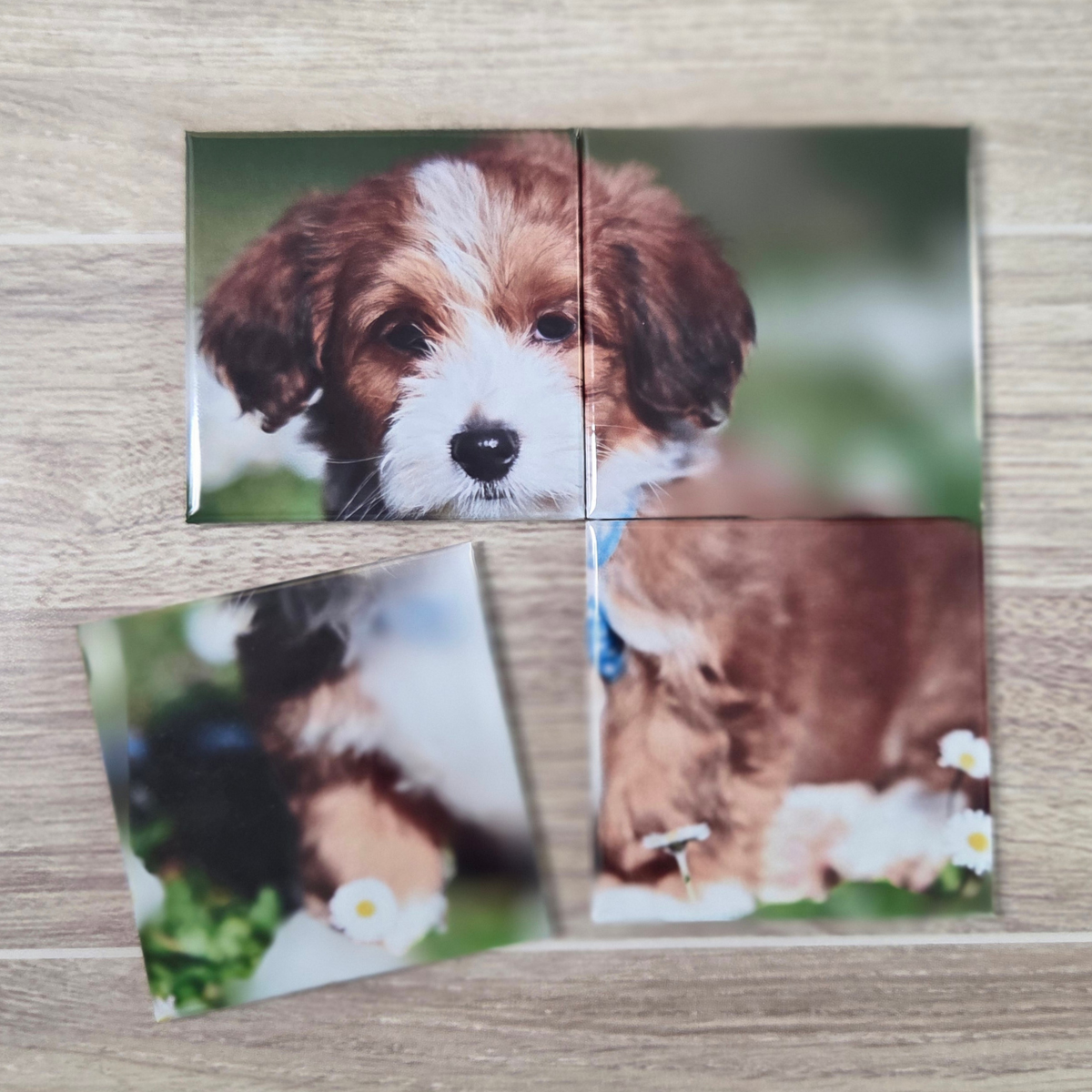 {BUNDLE} Mini Magnetic Photo Puzzle & Frame - 4 Magnets
