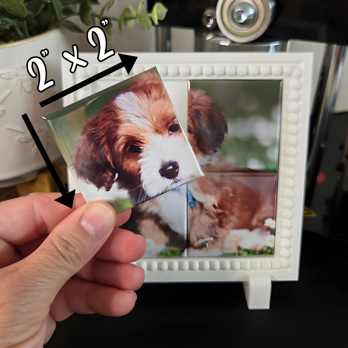 {BUNDLE} Mini Magnetic Photo Puzzle & Frame - 4 Magnets