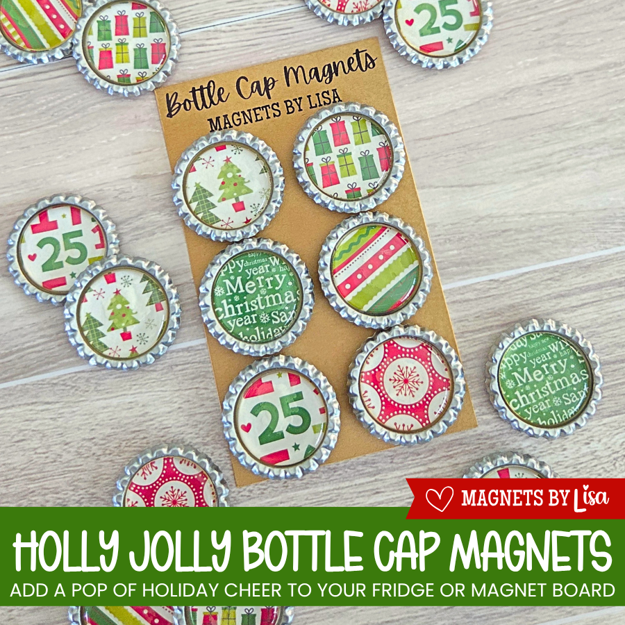 a pack of 6 bottle cap magnets