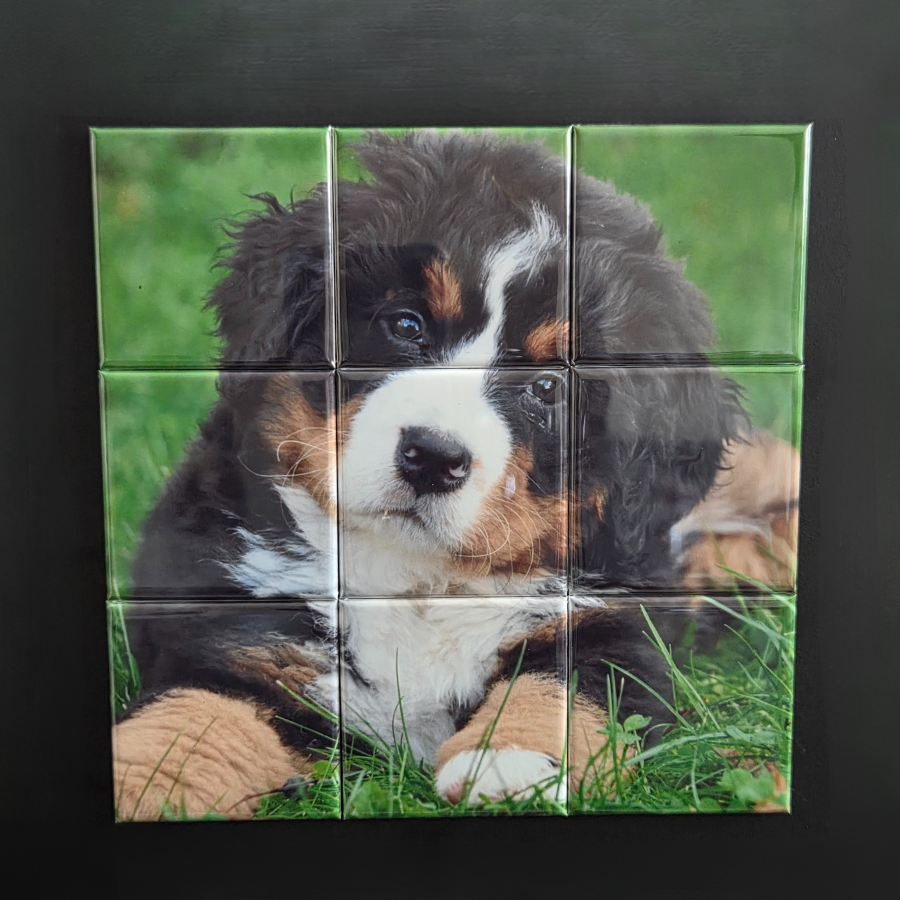 Mini Magnetic Photo Puzzle