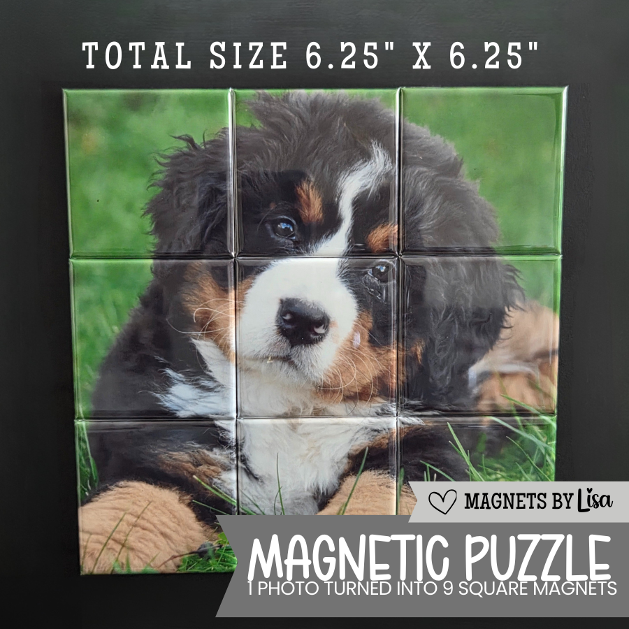 Custom Puzzle Magnets